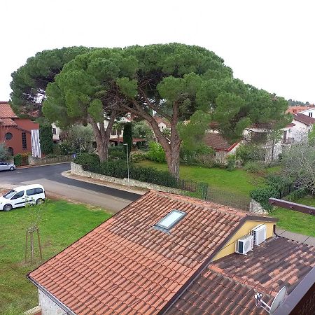 Apartments Ingrid Novigrad Istria المظهر الخارجي الصورة