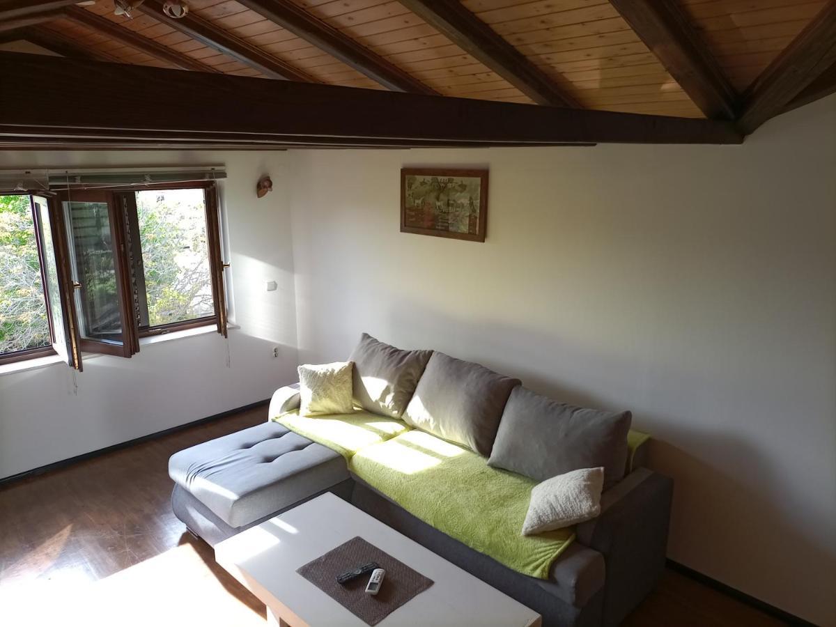 Apartments Ingrid Novigrad Istria المظهر الخارجي الصورة
