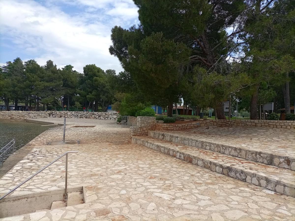 Apartments Ingrid Novigrad Istria المظهر الخارجي الصورة