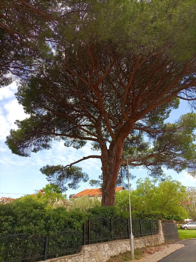 Apartments Ingrid Novigrad Istria المظهر الخارجي الصورة
