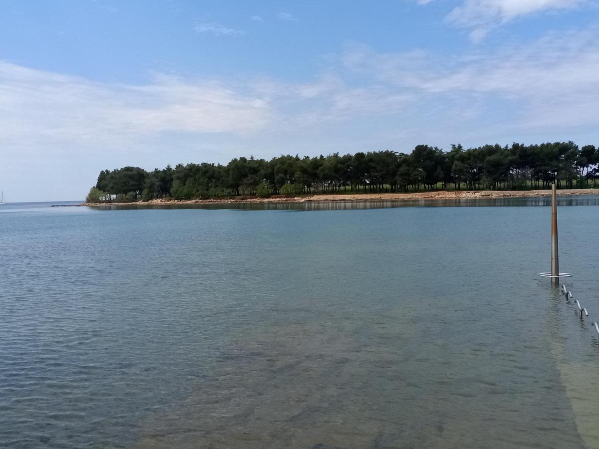 Apartments Ingrid Novigrad Istria المظهر الخارجي الصورة