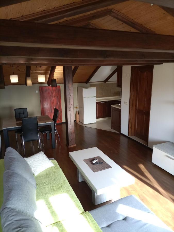 Apartments Ingrid Novigrad Istria المظهر الخارجي الصورة