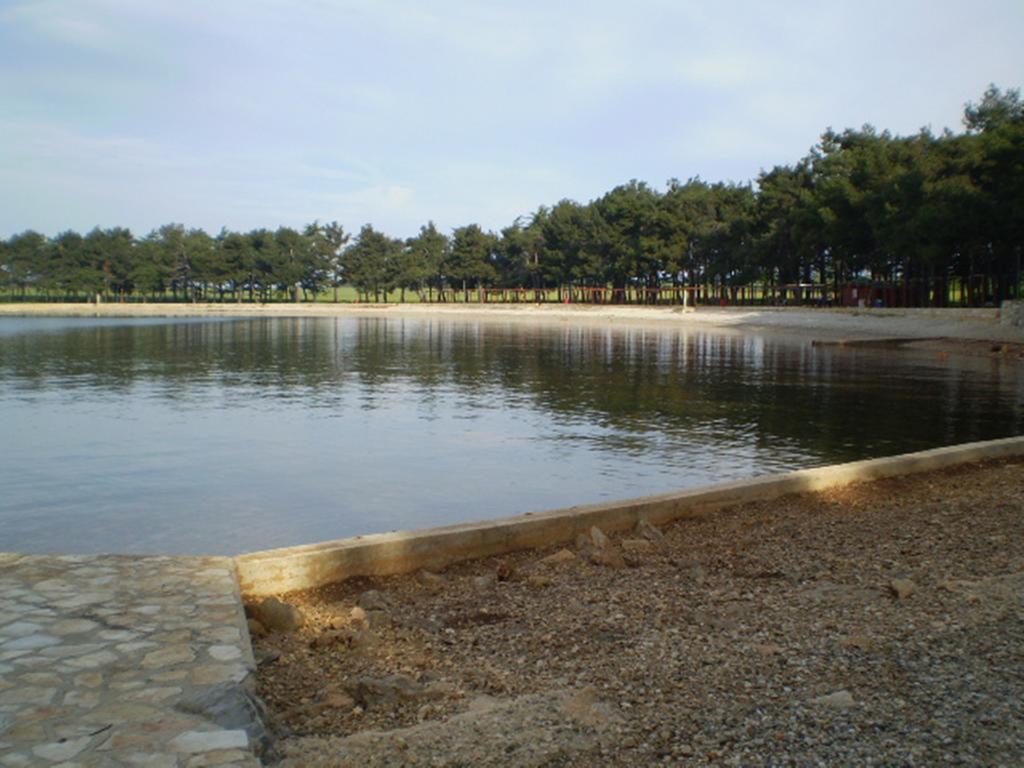 Apartments Ingrid Novigrad Istria المظهر الخارجي الصورة