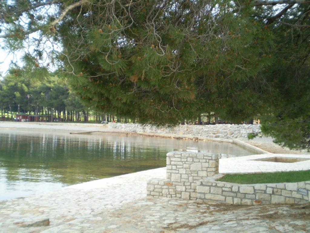 Apartments Ingrid Novigrad Istria المظهر الخارجي الصورة