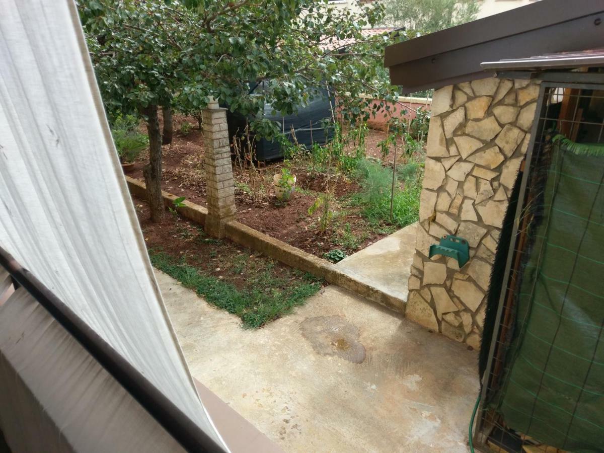 Apartments Ingrid Novigrad Istria المظهر الخارجي الصورة
