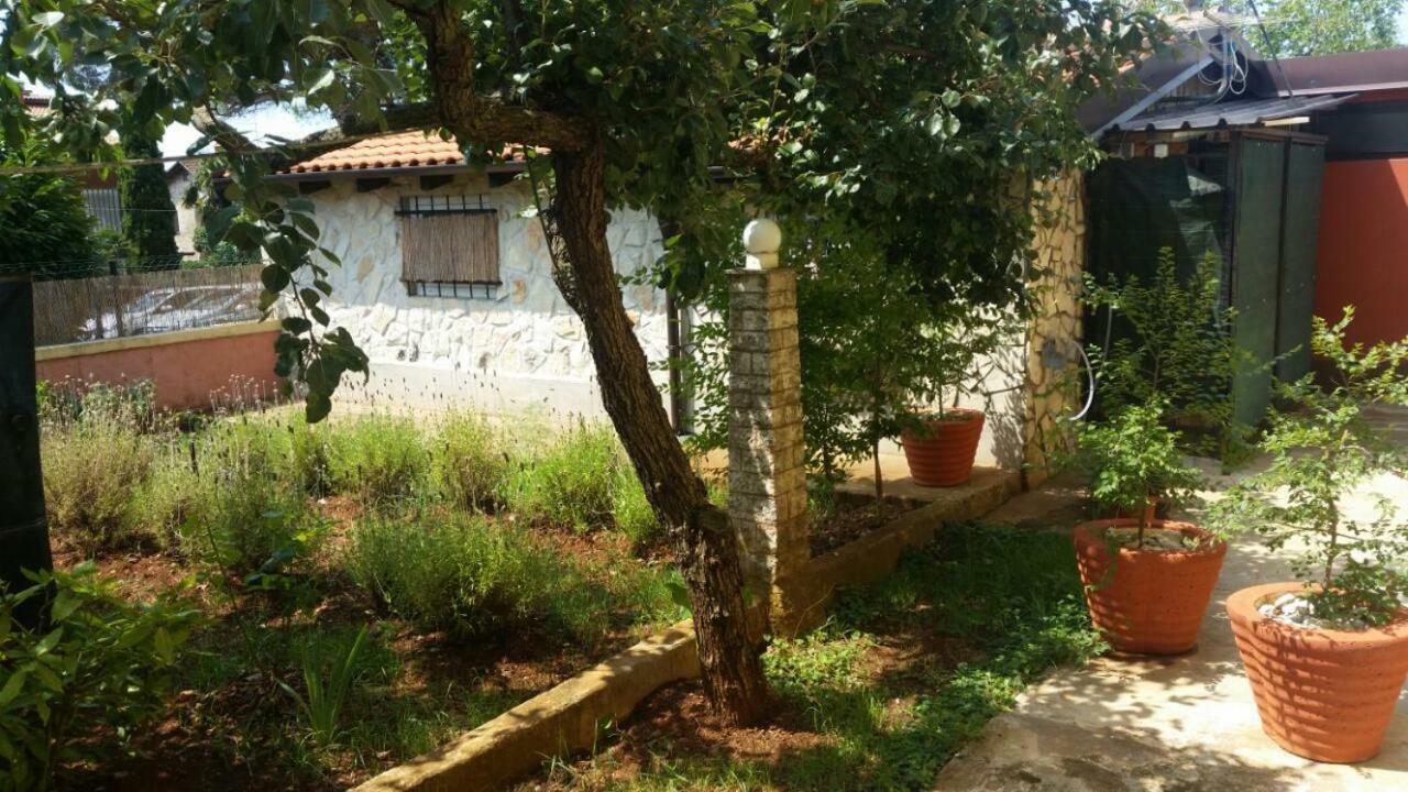 Apartments Ingrid Novigrad Istria المظهر الخارجي الصورة