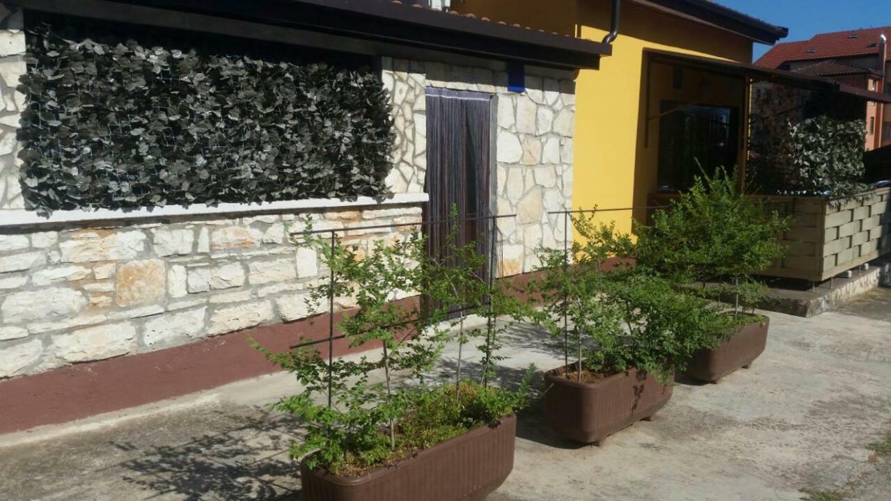 Apartments Ingrid Novigrad Istria المظهر الخارجي الصورة