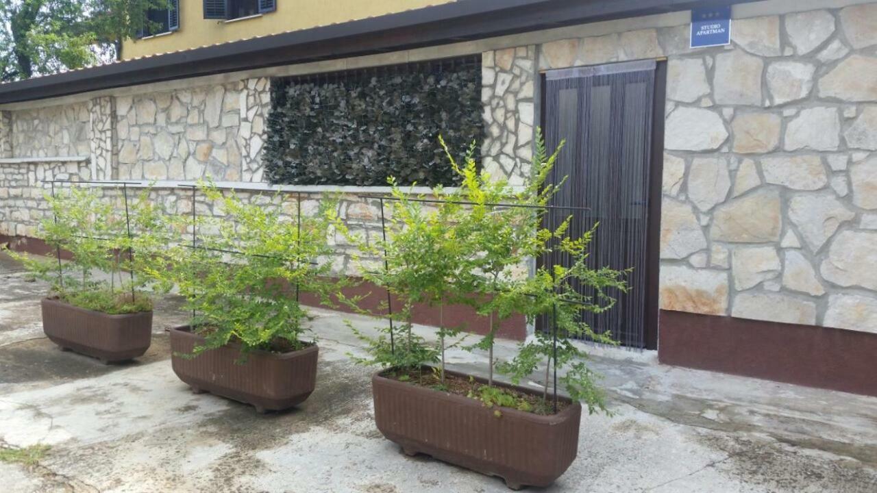 Apartments Ingrid Novigrad Istria المظهر الخارجي الصورة